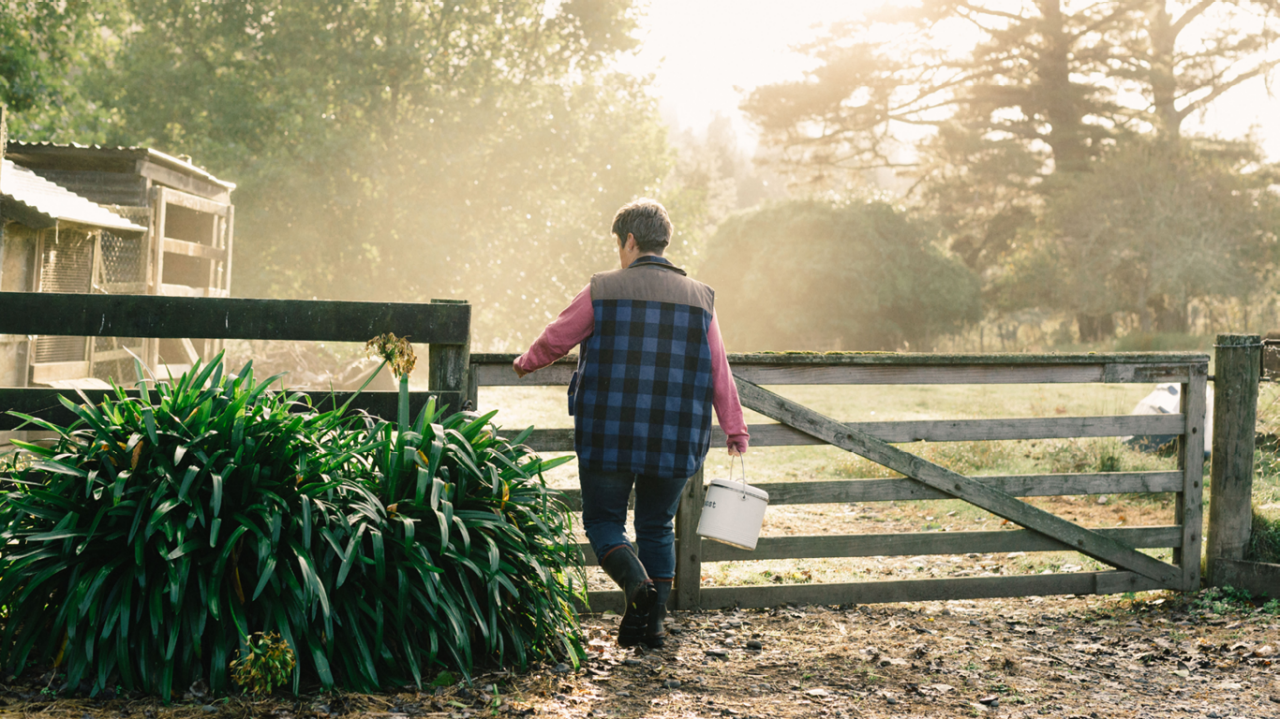 Person with their back to camera, pushing wooden farm gate with a bucket in hand