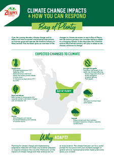 Regional-Factsheet-BayOfPlenty.pdf